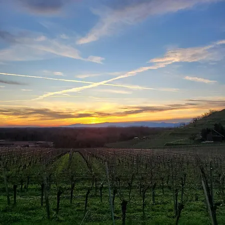 Schmiede Burkheim * Vogtsburg