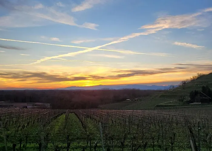 Appartement Schmiede Burkheim *